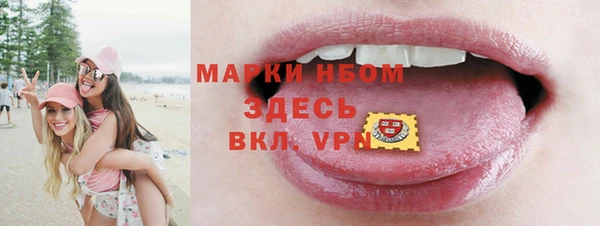 ешки Бородино