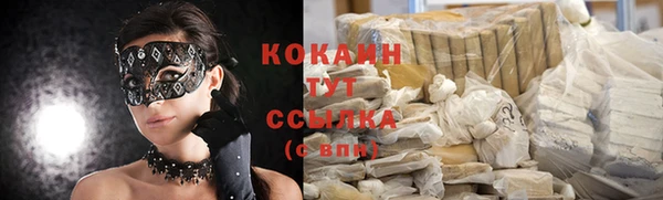 СК Бронницы