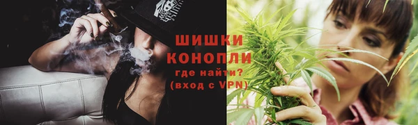 ешки Бородино