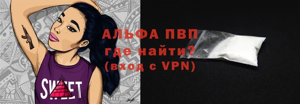 ешки Бородино