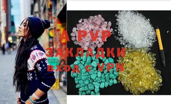 ешки Бородино