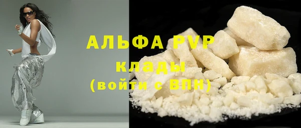 ешки Бородино