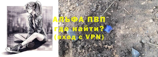 СК Бронницы